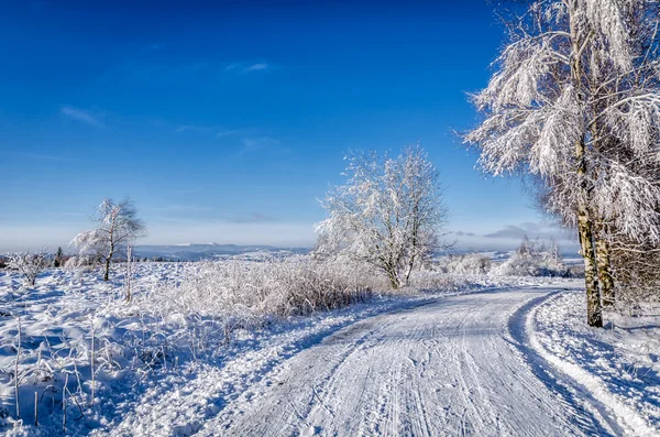 Bukovina K? odzka része Kudowa Zdroj, Lengyelország, a Szudéta-vidéket — Stock Fotó