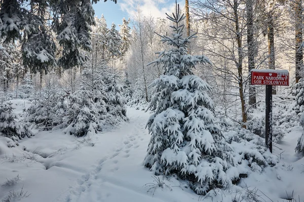 Platåbergen, Polen — Stockfoto