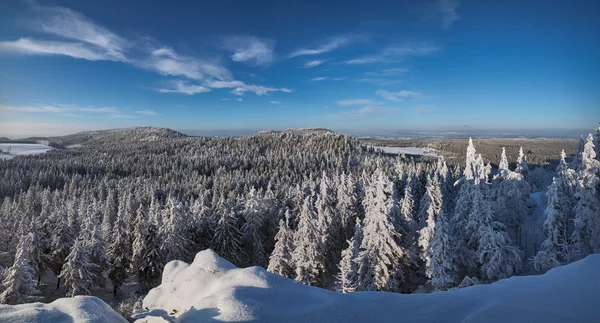 Blodiga Stolowe, stor Szczeliniec bergen — Stockfoto