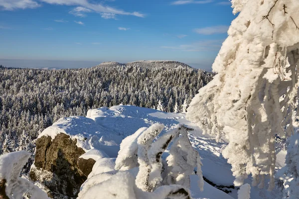 Blodiga Stolowe, stor Szczeliniec bergen — Stockfoto