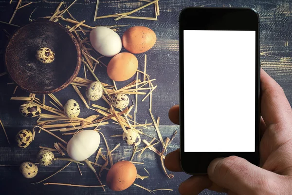 Yumurta çeşitleri — Stok fotoğraf