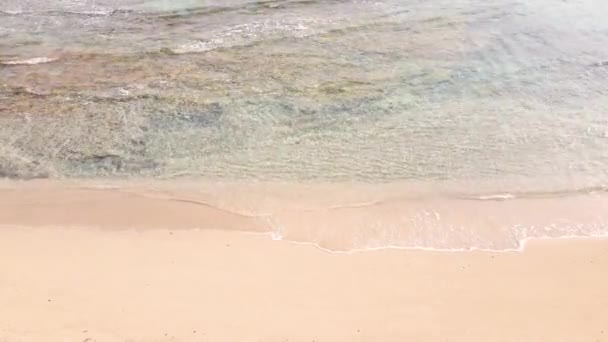 Морські Бризки Красивому Піщаному Пляжі — стокове відео