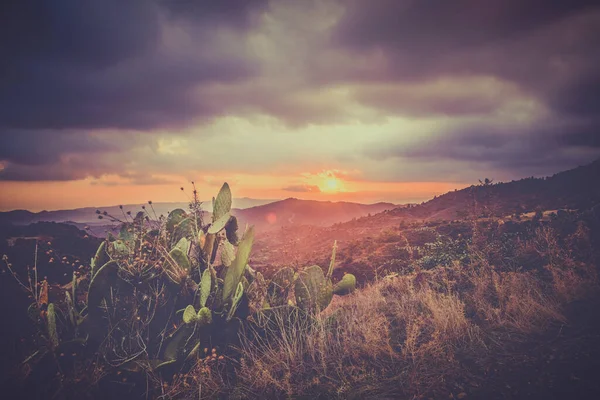 Belo Pôr Sol Sobre Montanhas Imagens De Bancos De Imagens Sem Royalties