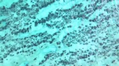 4K 'da güzel bir kumsal manzarası var.