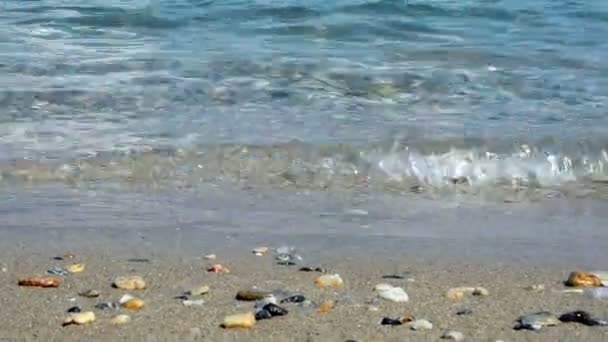 Κύματα χτυπούν την ακτή — Αρχείο Βίντεο
