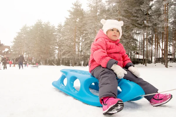 Child sitting on the sled on winter day — Stock Photo, Image
