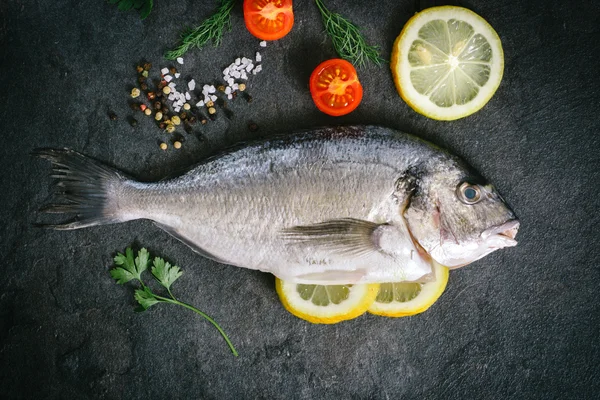 Gilthead fish on dark board — Stock Image Gilthead fish on dark board Stock Image