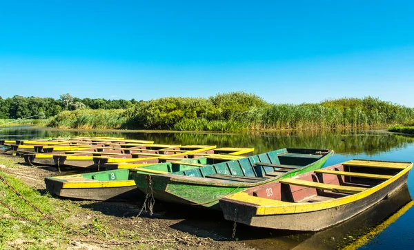 Barche palude in legno vuote sull'acqua — Foto Stock