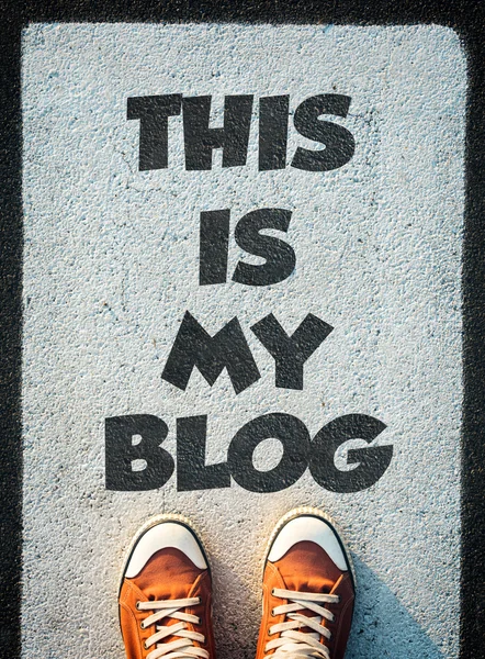 C'est mon blog. — Photo