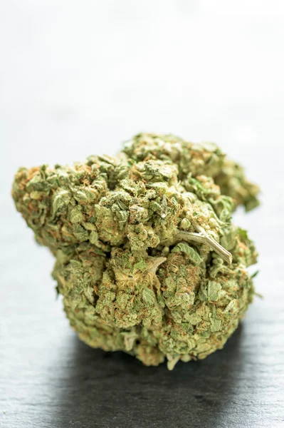 Close up to skunk bud — Stock Photo, Image