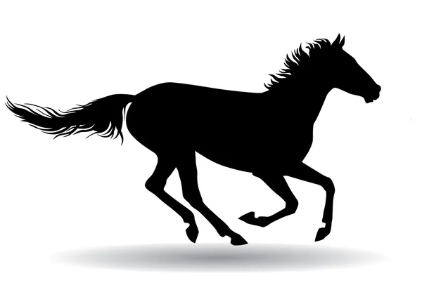 Cavalo, silhueta sobre um fundo branco — Vetor de Stock