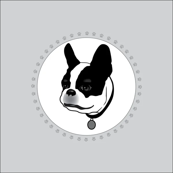 Dog is white with black spots. — Stock Vector