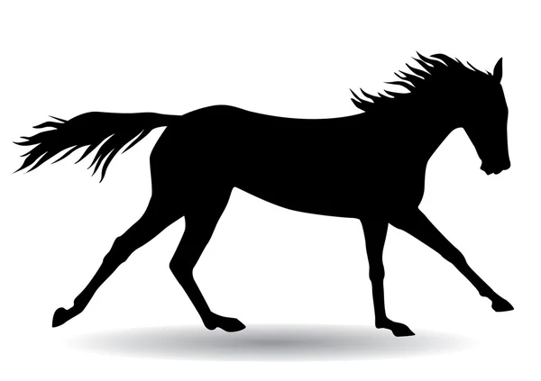 Cavallo, silhouette su fondo bianco — Vettoriale Stock