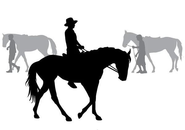 Jongen op paard — Stockvector