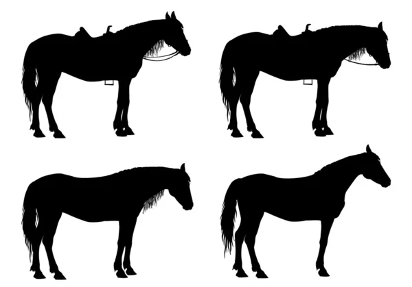 Cheval — Image vectorielle