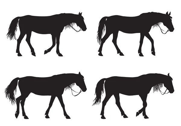 Cheval — Image vectorielle