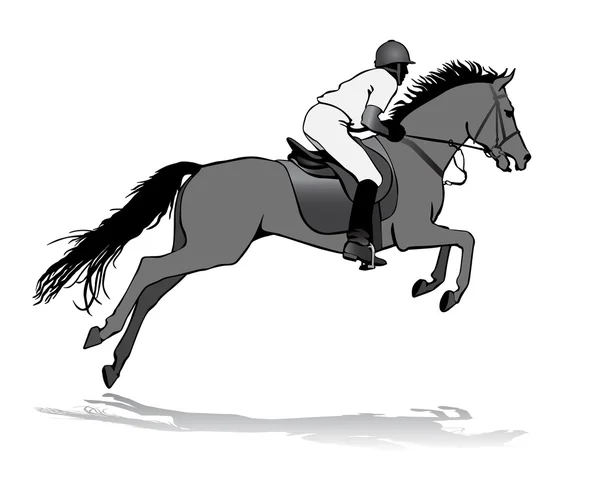 Rider on horse 3 — Stock Vector