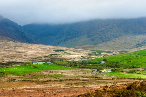İrlanda tarım arazisi — Stok fotoğraf