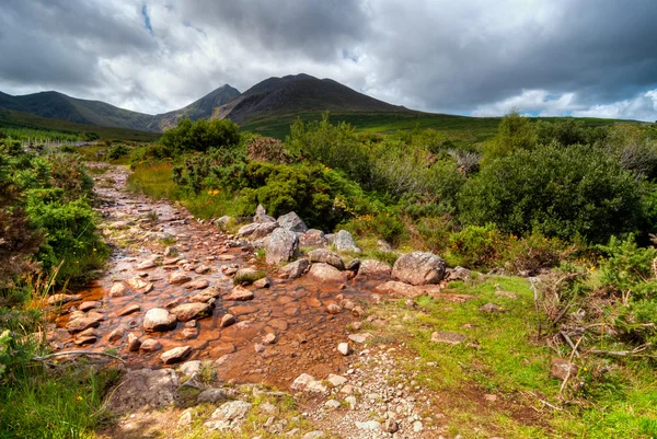 Mountain Stream in Ring of Kerry — Stock Photo, Image