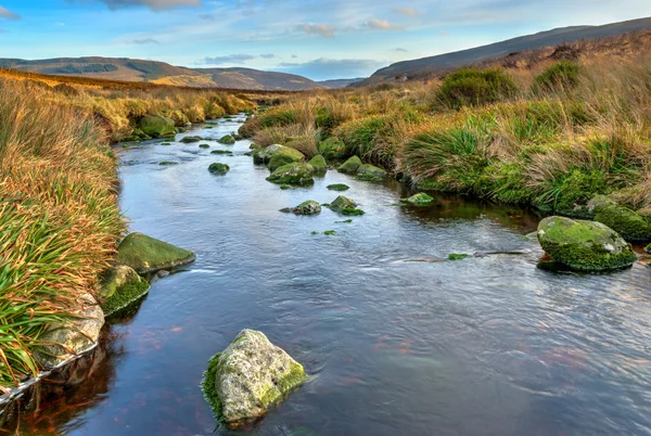 Dublin Mountains Lansdcape — Stock Photo, Image