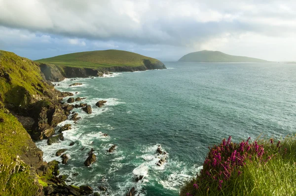 Скелі на півострів Dingle — стокове фото