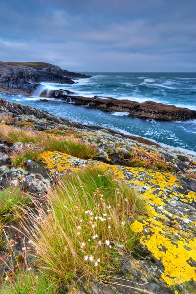 Klippor i Crookvahen County Cork — Stockfoto