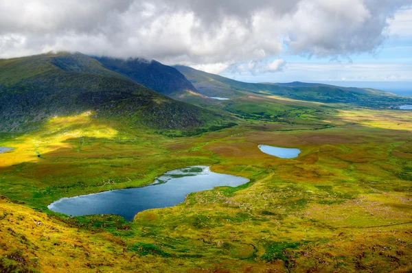 Campo na península do dingle — Fotografia de Stock