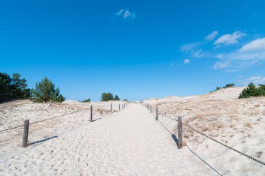 Kum tepeleri ve çim bitki örtüsü arka plan