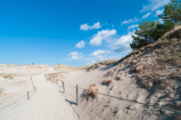 Піщані дюни і фоном трава рослинність — стокове фото