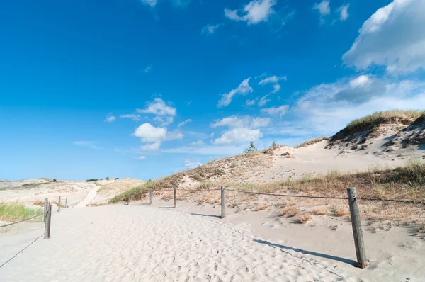 Sand Dunes And Grass Vegetation Background — Stock Photo, Image