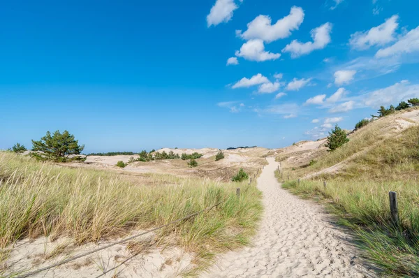 Sand Dunes And Grass Vegetation Background — Stock Photo, Image