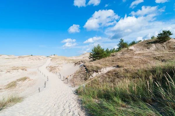 Sand Dunes And Grass Vegetation Background — Stock Photo, Image