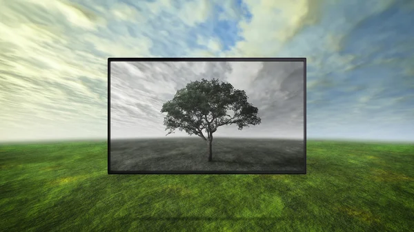 Loş gri ekran karşıtlığını renkli vahşi arka plan — Stok fotoğraf