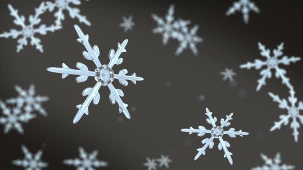 Snowflakes focusing background black white 4K video — Stock Video