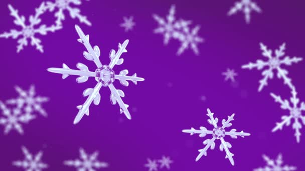 Flocos de neve focando fundo roxo vídeo 4K — Vídeo de Stock