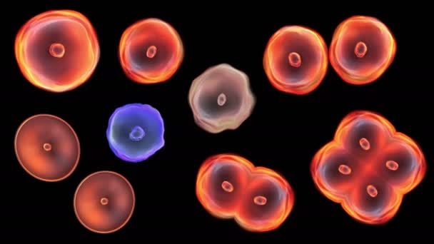 细胞类型 4 k 视频 — 图库视频影像