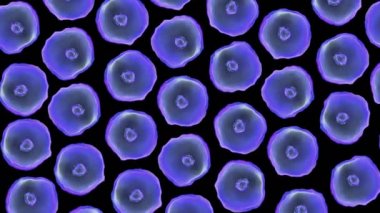 hücreler kötü virüs hücre 4 k video düzenlemek