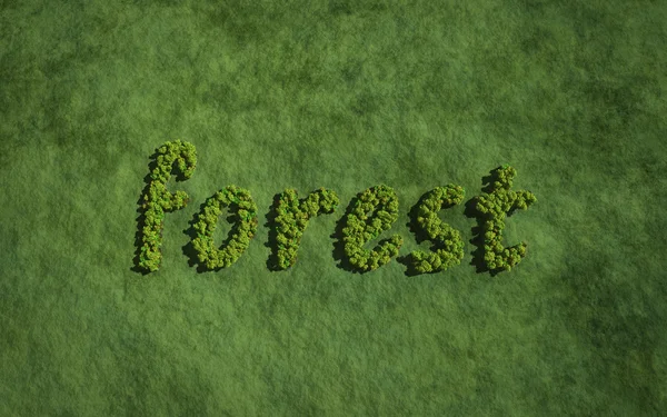 Forest created by trees — Stock Photo, Image