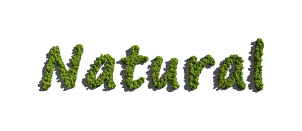 Text Natural created by trees — Stock Photo, Image