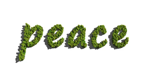 Paz criada pelas árvores — Fotografia de Stock