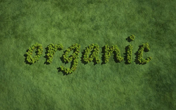 Organic created by trees — Stock Photo, Image