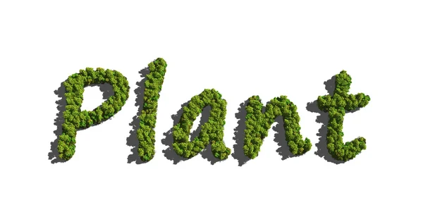 Plant created by trees — Stock Photo, Image