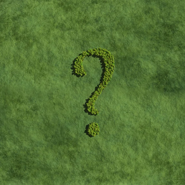 Soru işareti ağaçlar tarafından oluşturulmuş — Stok fotoğraf