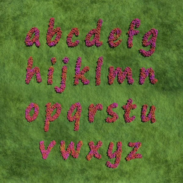 Kırmızı renk çiçek tarafından alfabe küçük harf — Stok fotoğraf