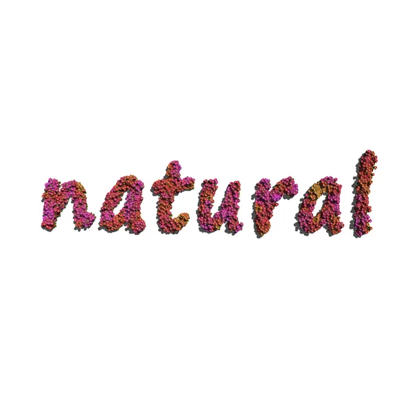 Natural created by red color flowers — Stock Photo, Image