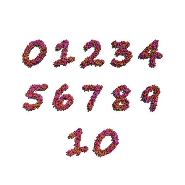 Kırmızı renk çiçek tarafından oluşturulmuş olan numaraları — Stok fotoğraf