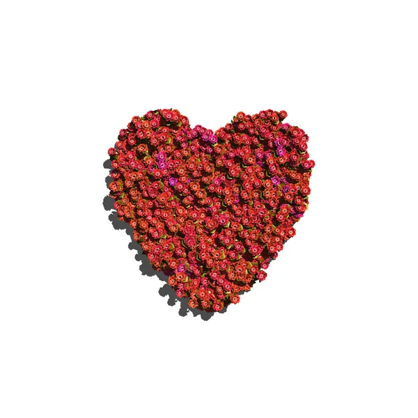 Червоне серце, створене квітами — стокове фото