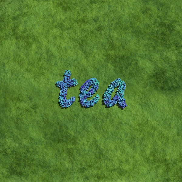 Tea created by blue flowers with grass — Stock Photo, Image