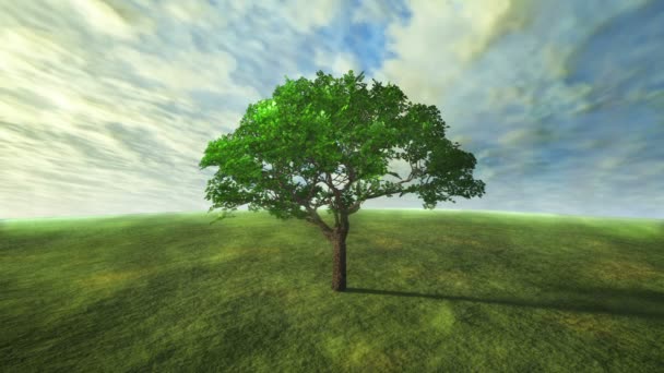 Nuages et laps de temps des arbres avec le concept vert 