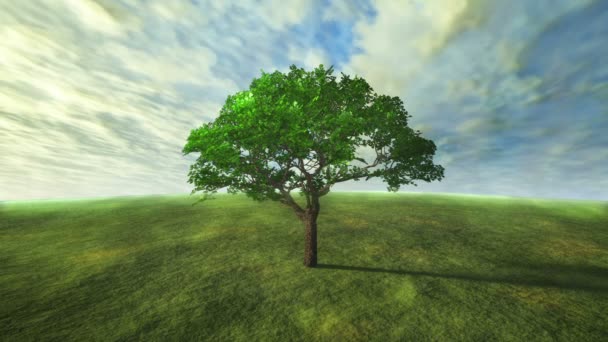 Nubes y árbol lapso de tiempo con concepto verde — Vídeo de stock